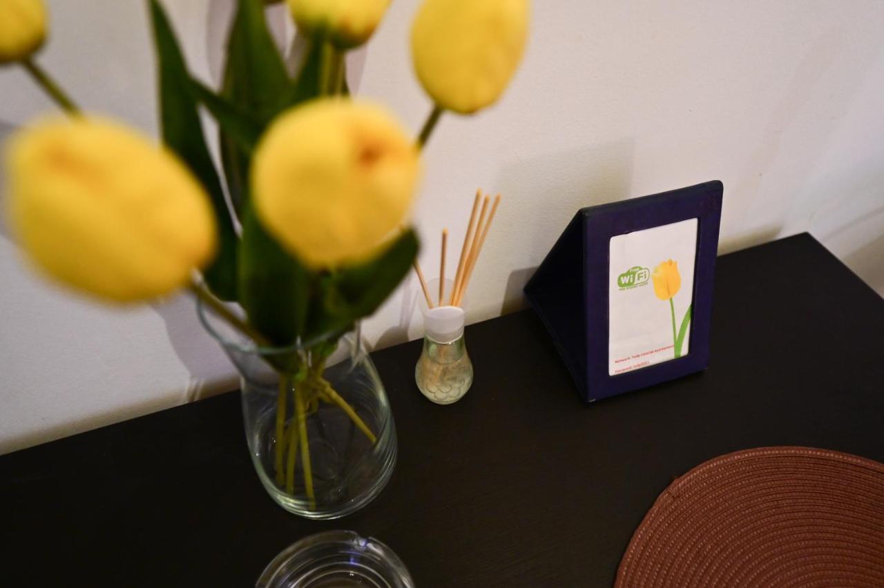 Tulip Apartament Sibiu